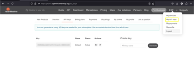 Ключ OpenWeatherMap