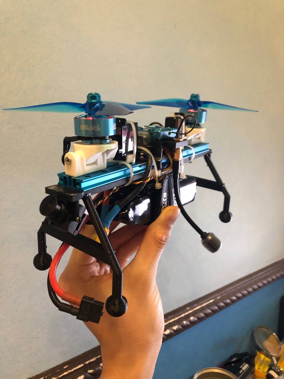 Бикоптер — двухмоторный БПЛА для поисково-спасательных операций